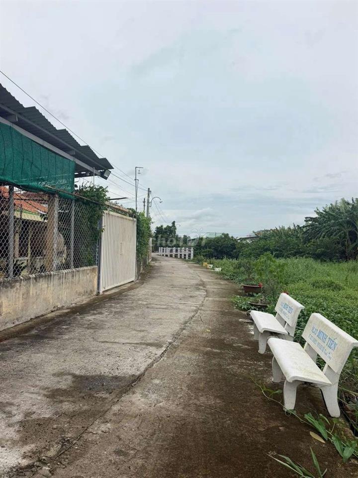 Đất thổ cư Tân Trụ