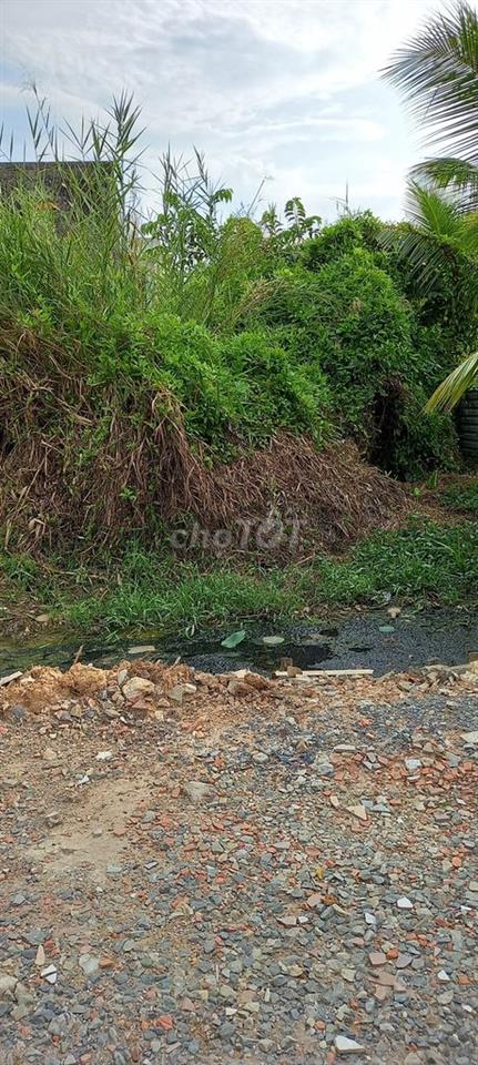ÁN NHANH -ĐẤT HỰU THẠNH, ĐỨC HÒA ,LONG AN