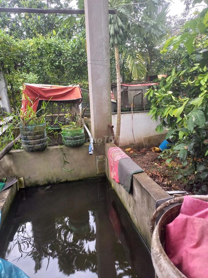 Nhà đường Vườn Mận vừa ở vừa kinh doanh