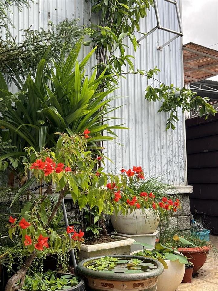 Biệt Thự Mini Phong Cách Tân Tiến