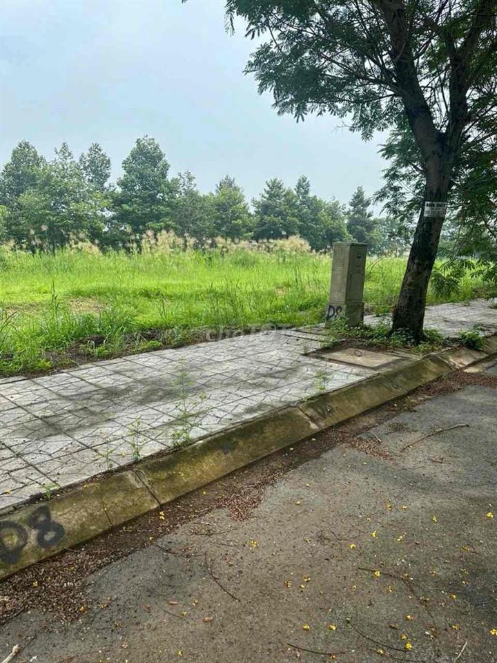 Đất nền biệt thự