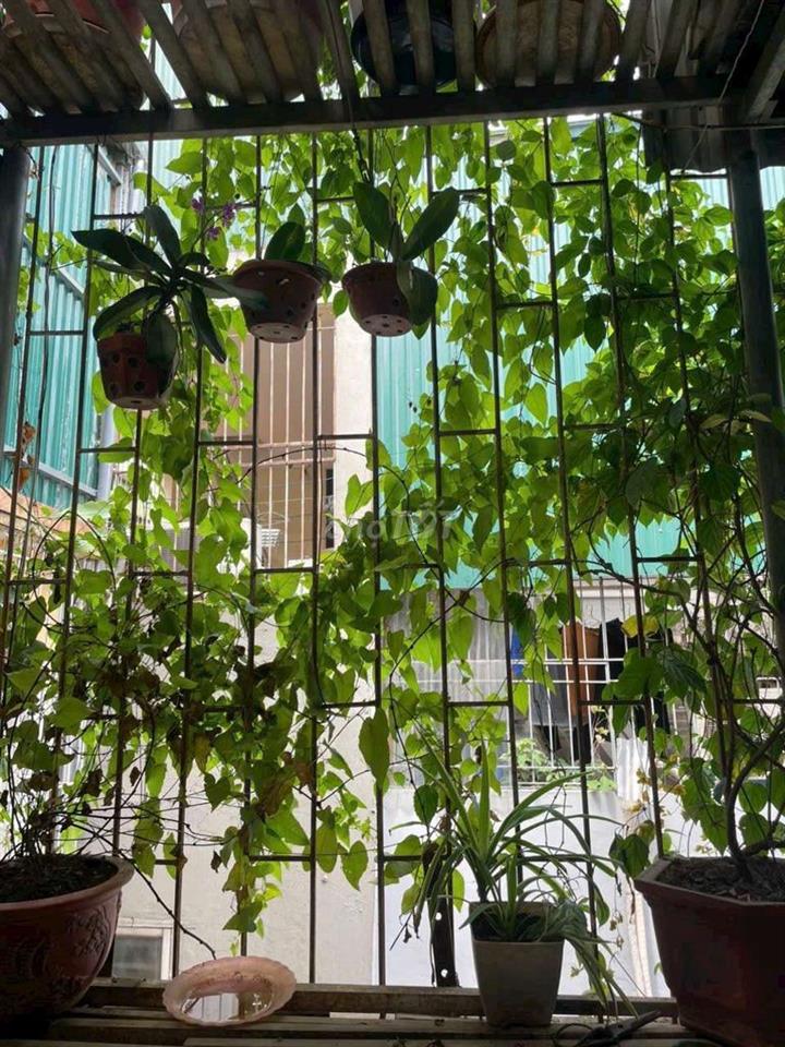 Bán nhà dân kim Giang Phường Thanh Liệt Hà Nội