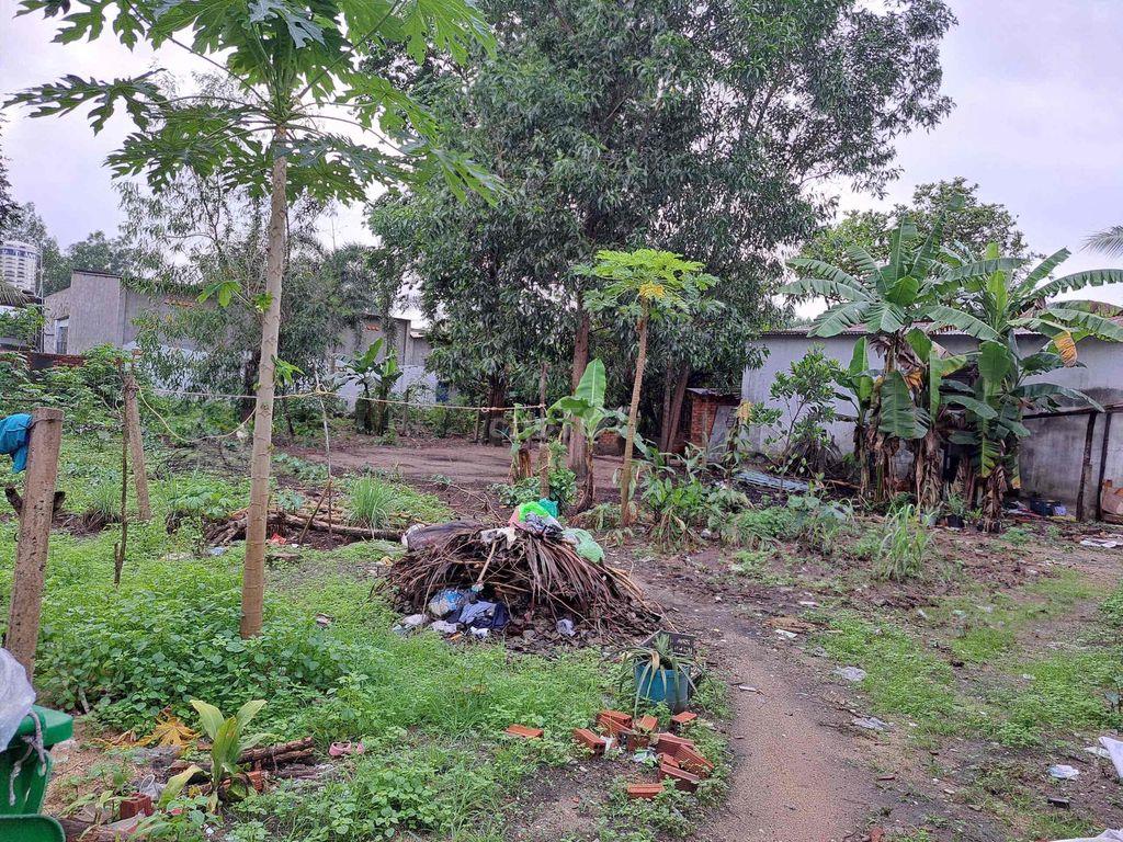 BÁN ĐẤT LONG PHƯỚC, TP.ĐỒNG NAI: 453,7m2 có 100m thổ cư