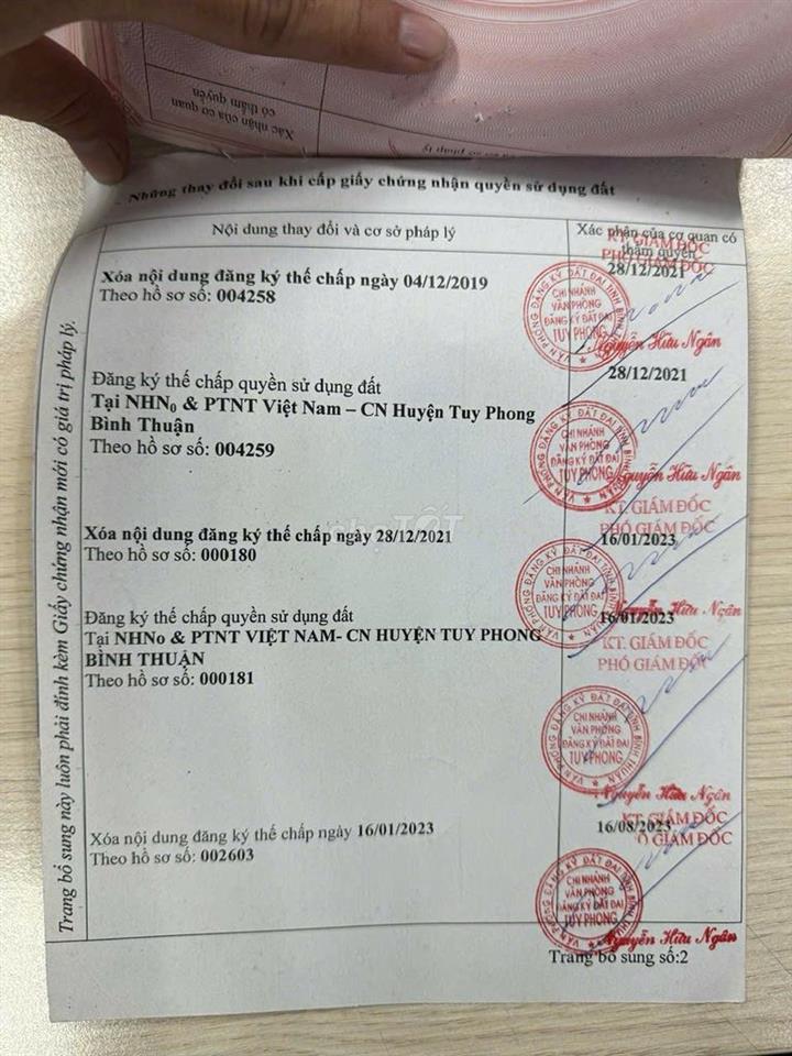 Vị trí vàng cho các nhà đầu tư : mặt tiền đắc địa