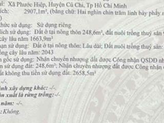 Cần tiền bán gấp đất thổ cư mặt tiền đường nhựa Củ Chi