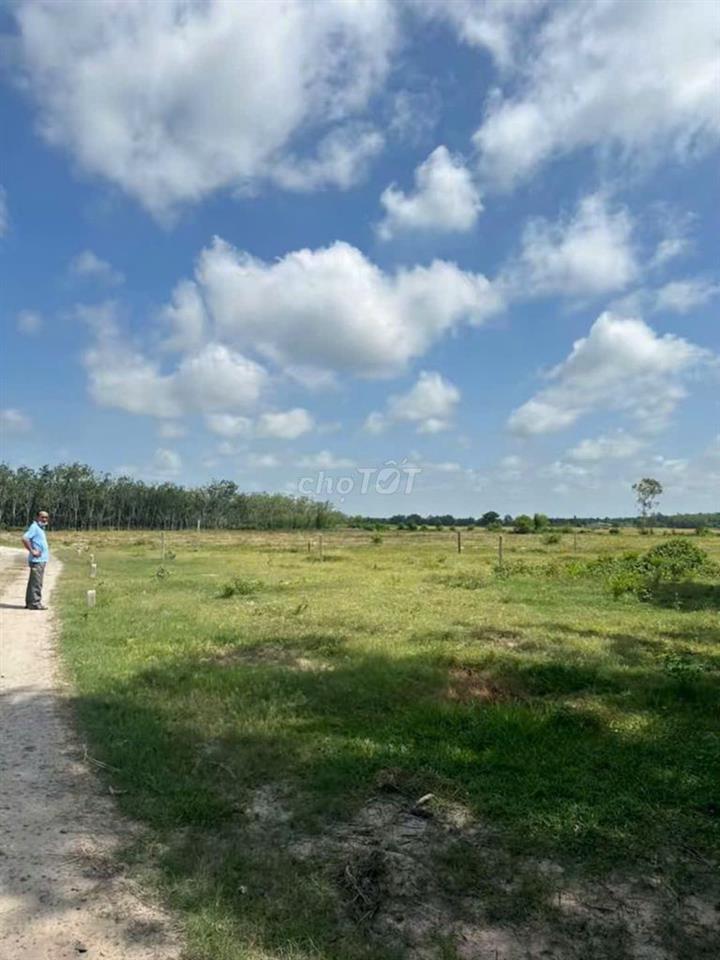 Cần bán đất