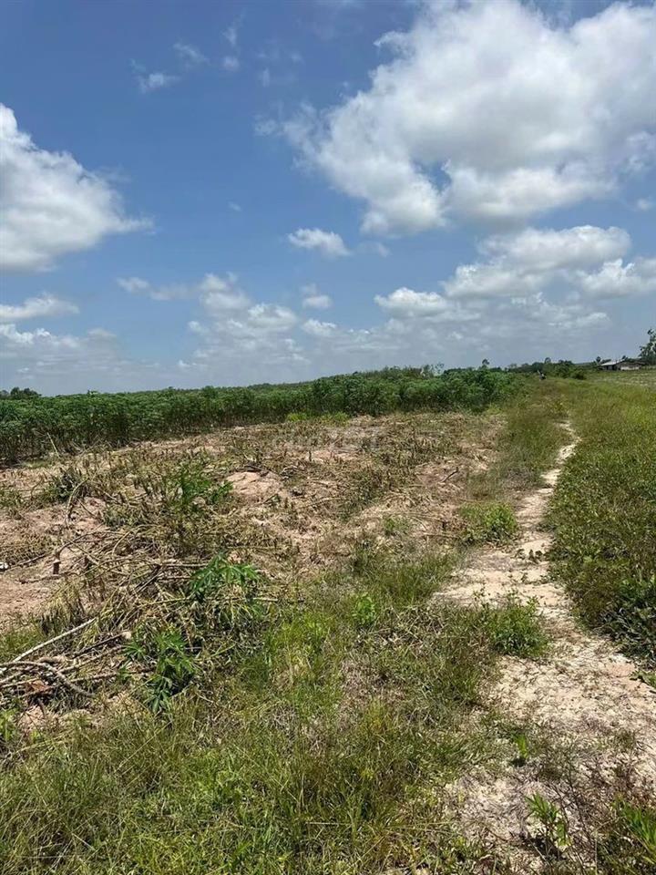 Cần bán đất