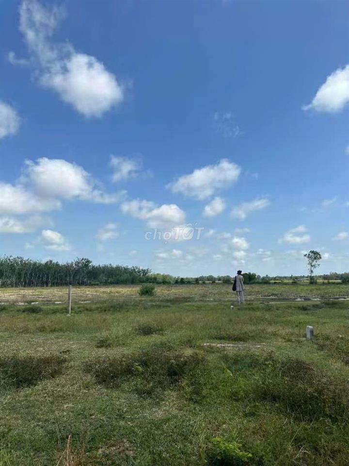 Cần bán đất