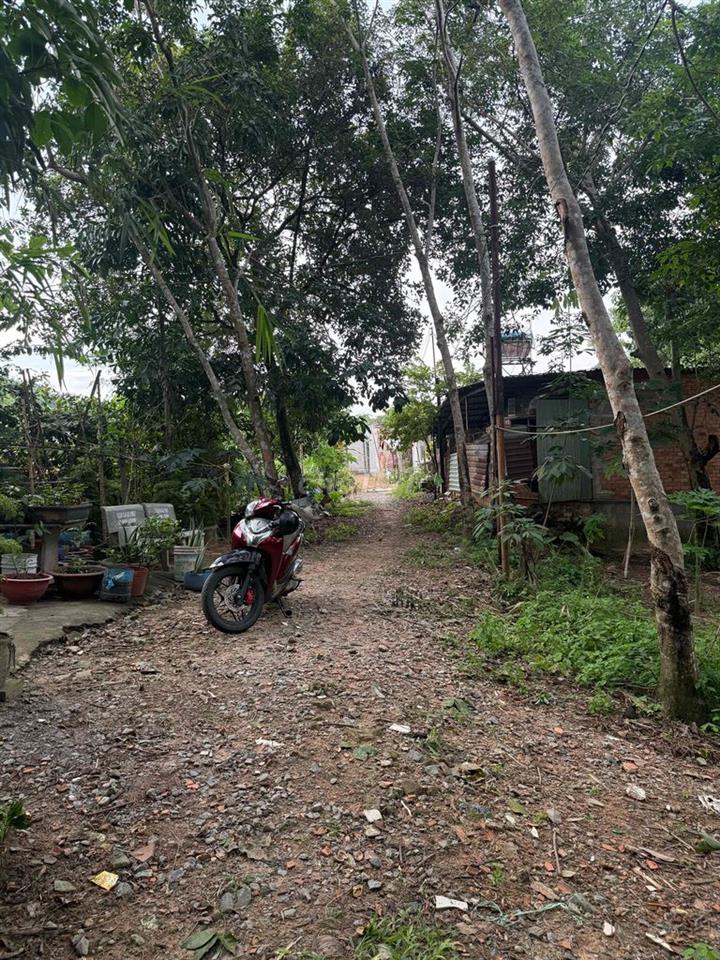 Bán Đất Quy Hoạch Tân Định ( Bến Cát )