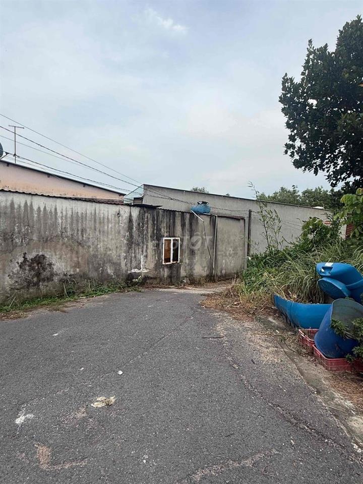 Bán Đất Quy Hoạch Tân Định ( Bến Cát )