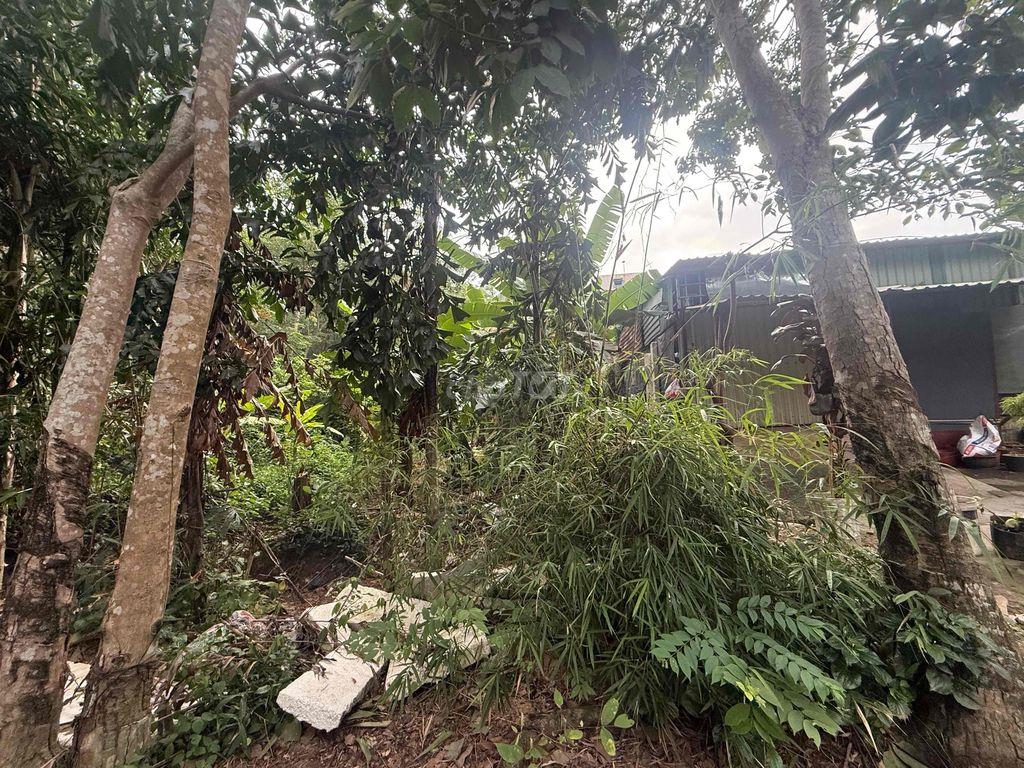 Bán Đất Quy Hoạch Tân Định ( Bến Cát )