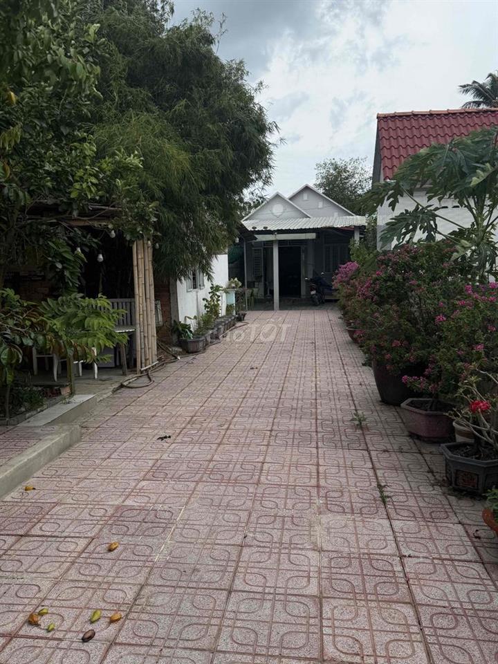 Chủ ngộp bán gấp nhà vườn 287m² Thuận An, giá tốt 3 tỉ 2