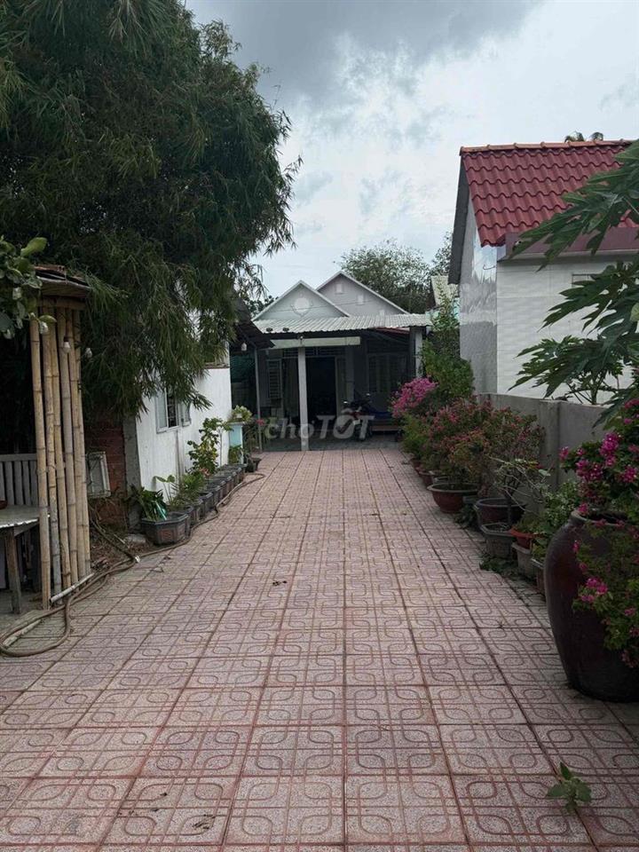 Chủ ngộp bán gấp nhà vườn 287m² Thuận An, giá tốt 3 tỉ 2