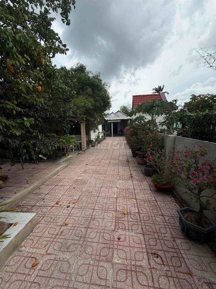 Chủ ngộp bán gấp nhà vườn 287m² Thuận An, giá tốt 3 tỉ 2