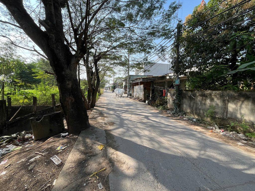 ĐẤT THỔ CƯ 221M2, ĐƯỜNG 8M, VĨNH LỘC B BÌNH CHÁNH