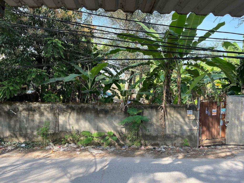 ĐẤT THỔ CƯ 221M2, ĐƯỜNG 8M, VĨNH LỘC B BÌNH CHÁNH