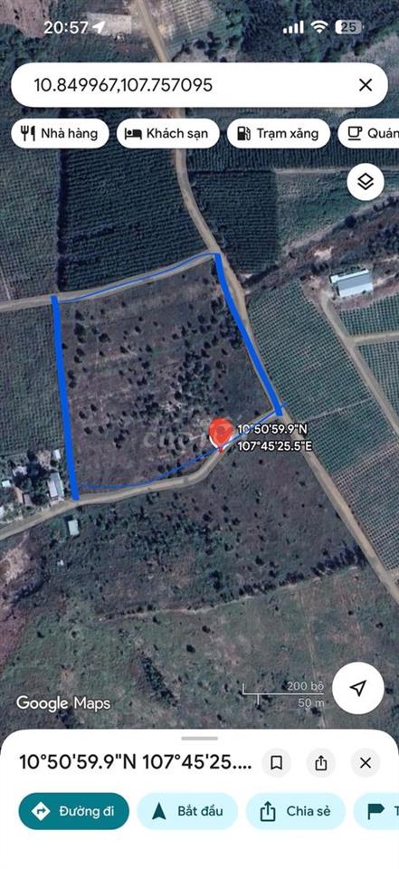 BÁN ĐẤT HAI MẶT TIỀN – GẦN QL1, QL55 VÀ CAO TỐC PHAN THIẾT–DẦU GIÂY