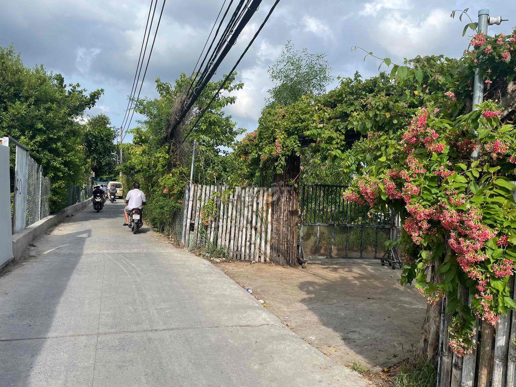 Đất cho thuê có nhà cấp 4 sẵn