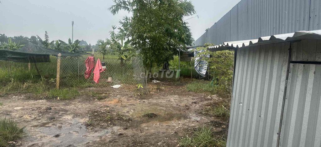 🌿 CHO THUÊ ĐẤT DIỆN TÍCH KHOẢNG 1.800M² – KHU VỰC HỒ VĂN TẮNG, CỦ CHI