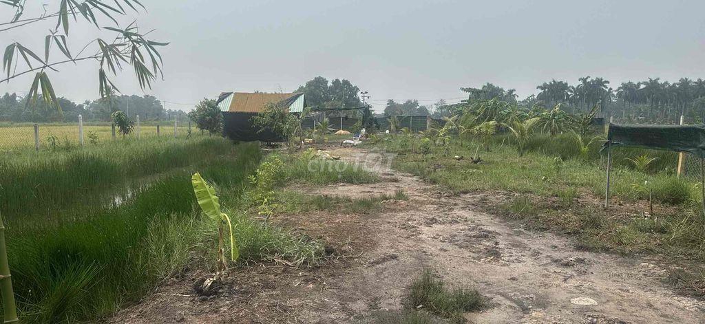 🌿 CHO THUÊ ĐẤT DIỆN TÍCH KHOẢNG 1.800M² – KHU VỰC HỒ VĂN TẮNG, CỦ CHI