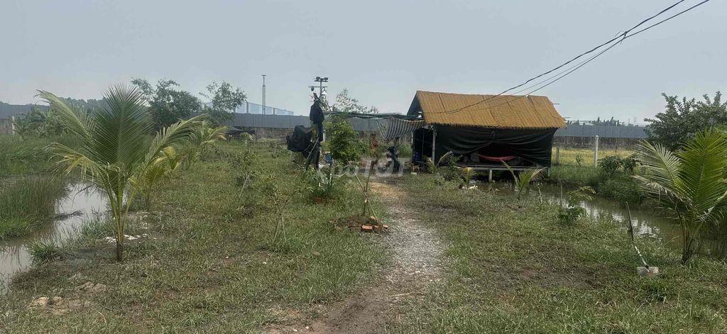 🌿 CHO THUÊ ĐẤT DIỆN TÍCH KHOẢNG 1.800M² – KHU VỰC HỒ VĂN TẮNG, CỦ CHI