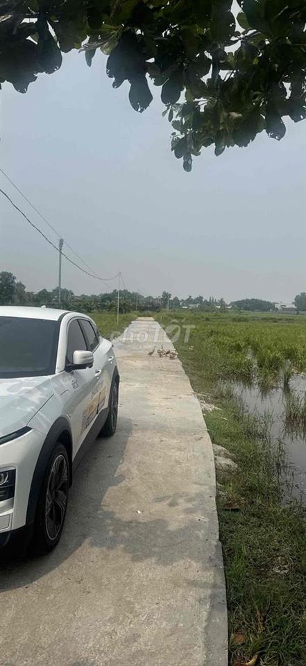 🌿 CHO THUÊ ĐẤT DIỆN TÍCH KHOẢNG 1.800M² – KHU VỰC HỒ VĂN TẮNG, CỦ CHI