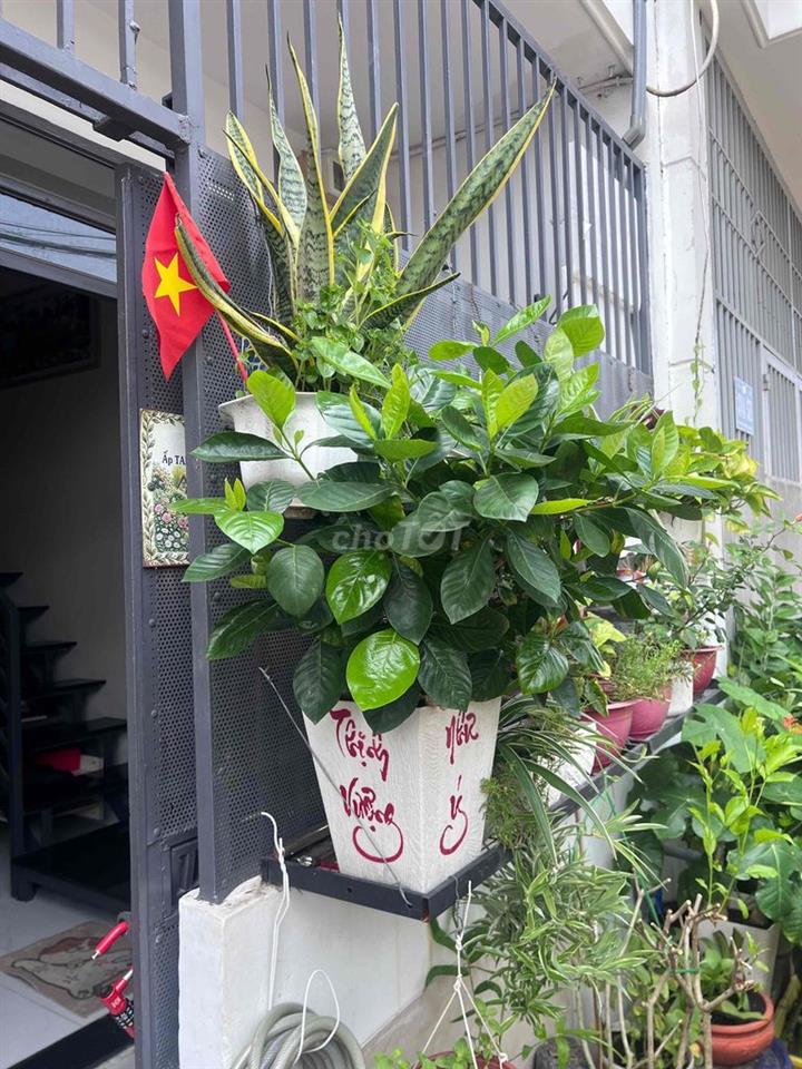BÁN NHÀ HẺM XE TẢI – ĐÔNG THẠNH, SẮP LÊN PHƯỜNG – SỔ HỒNG RIÊNG