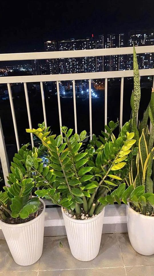 số 4 đào trí , phường phú thuận