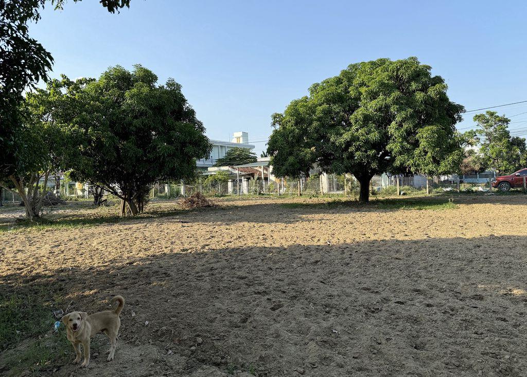 BÁN ĐẤT 3.150M² (1.800M² THỔ CƯ), MẶT TIỀN 82M - KKT VÂN PHONG