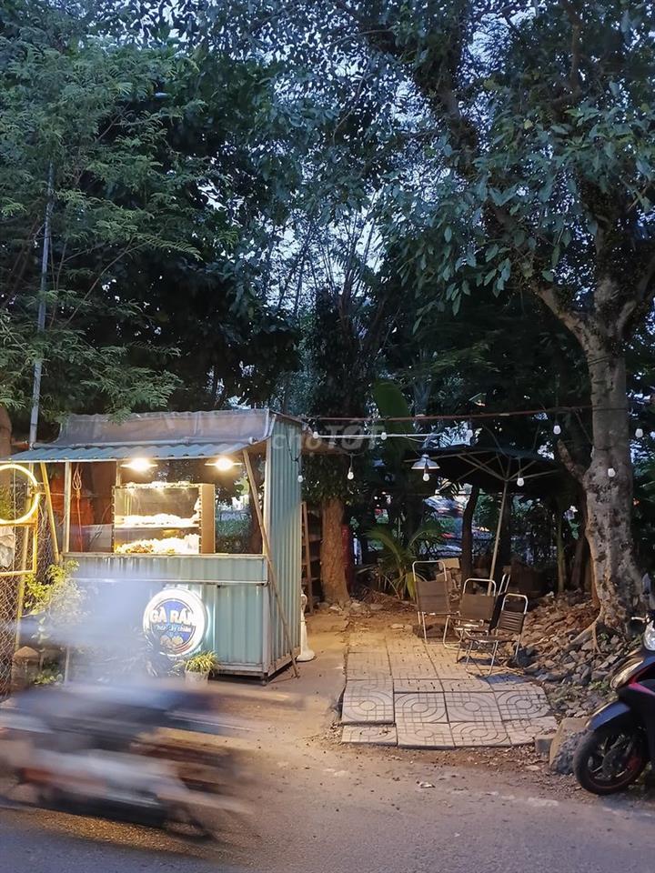 Buổi sáng cho thuê mặt bằng