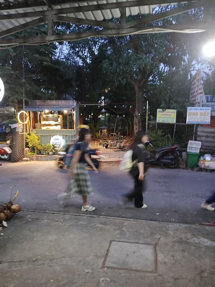 Buổi sáng cho thuê mặt bằng
