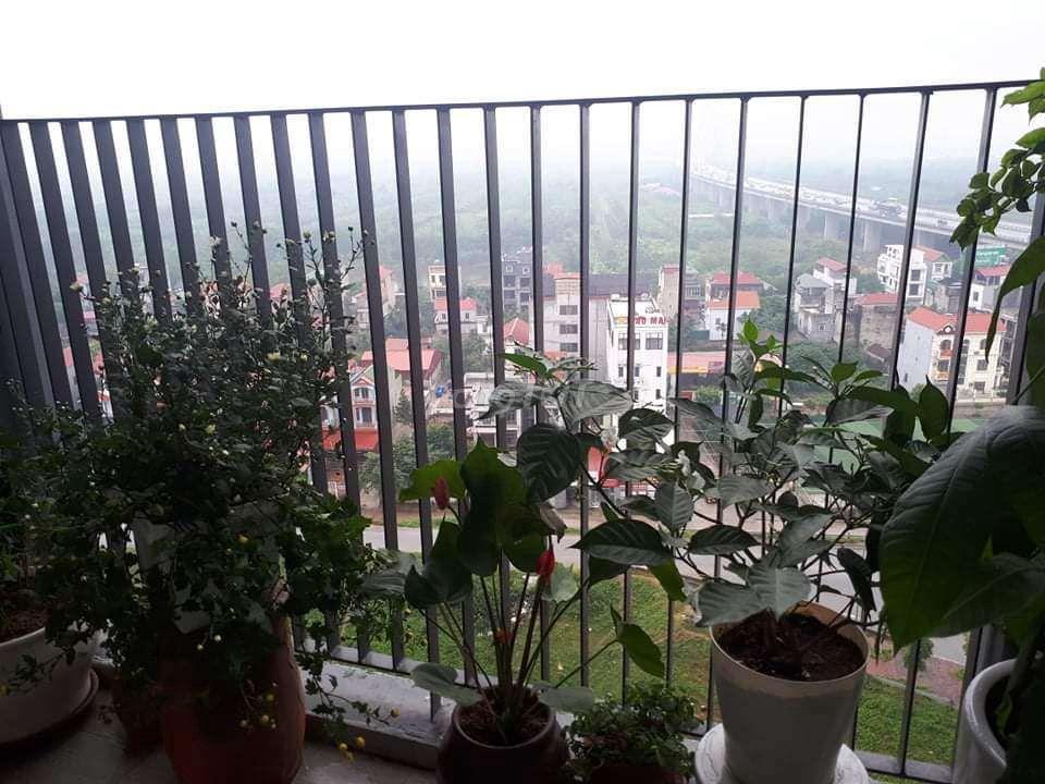 Chính chủ cho thuê lâu dài 