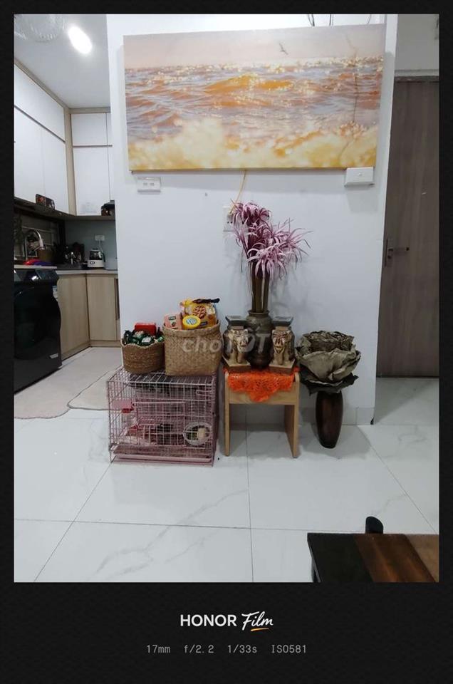 penthouse Chung cư mini