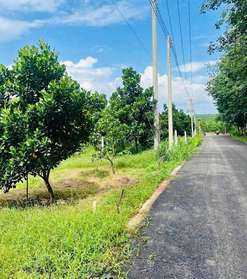 Chính chủ cần sang ngay lô đất 2000m2 , giá 350 triệu