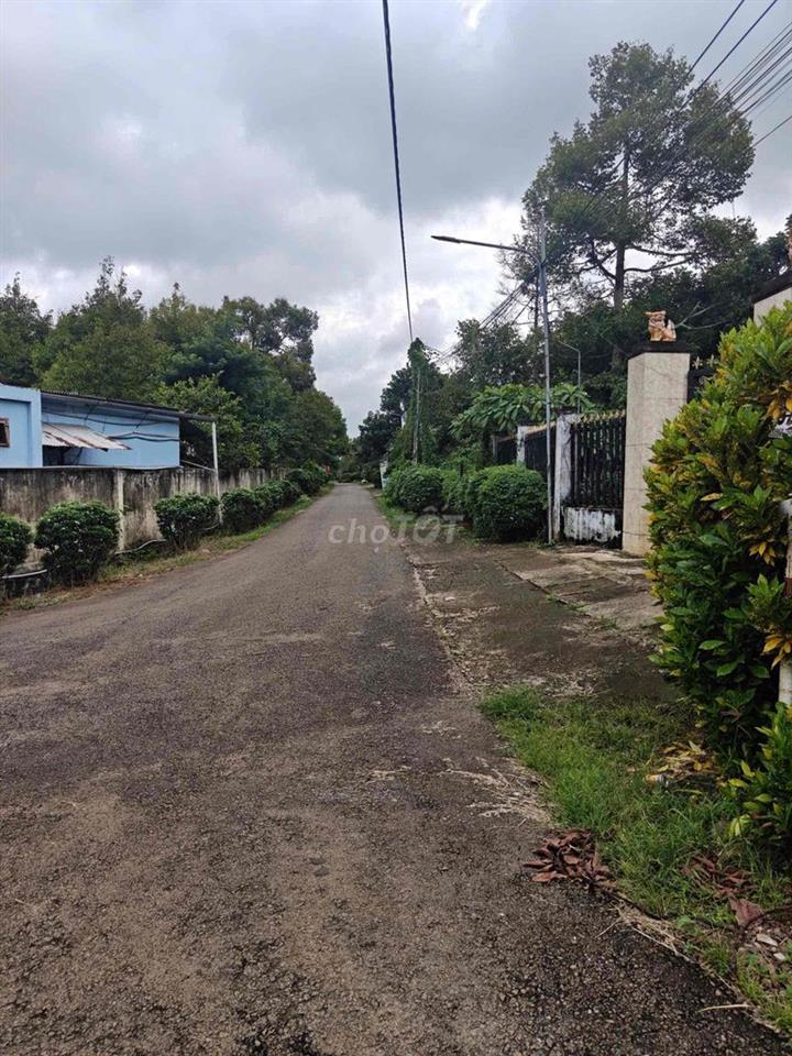 Bán nhà vườn gần ngã ba Tân Phong Tp Long khánh