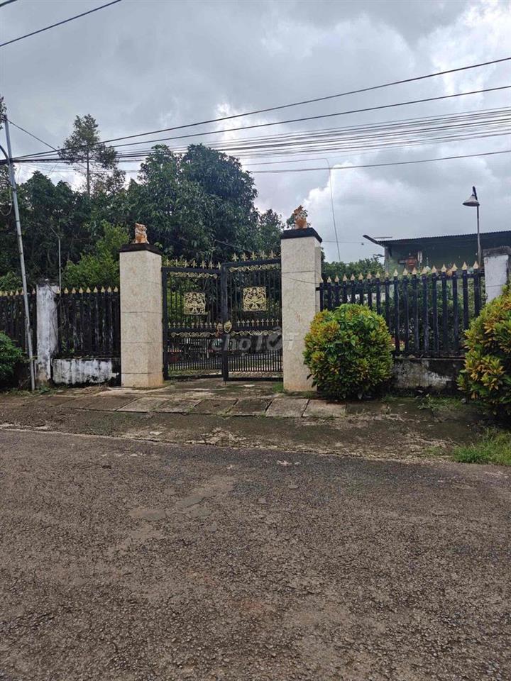 Bán nhà vườn gần ngã ba Tân Phong Tp Long khánh