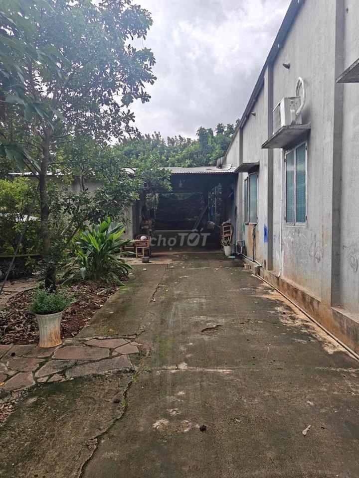 Bán nhà vườn gần ngã ba Tân Phong Tp Long khánh