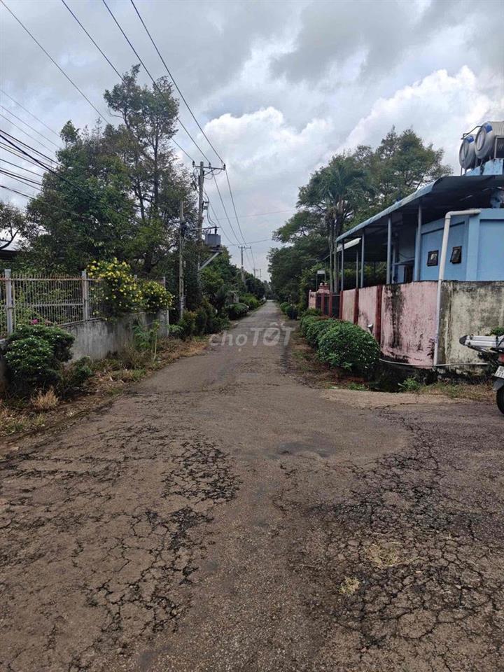 Bán nhà vườn gần ngã ba Tân Phong Tp Long khánh