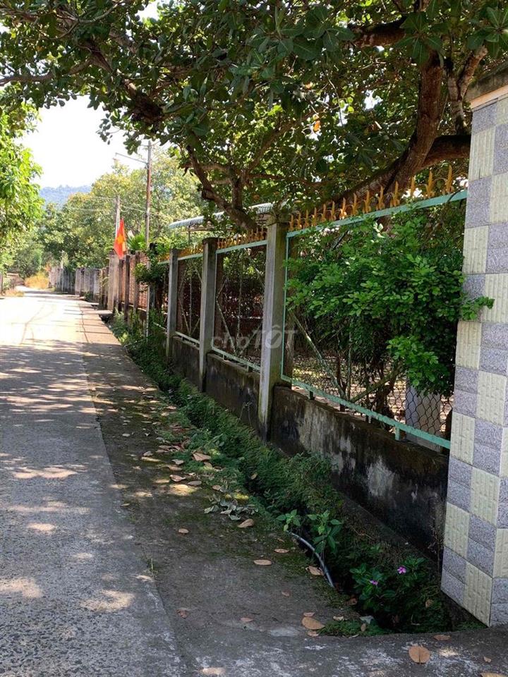 Bán đất view dự án núi Chứa Chan đang xây dựng