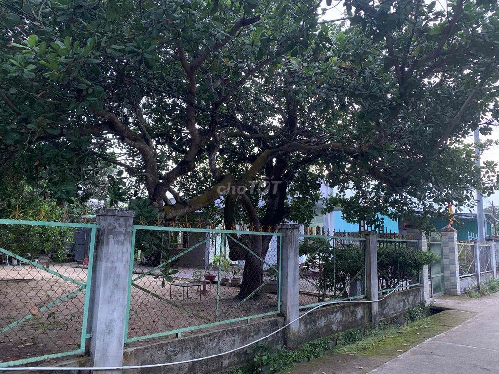 Bán đất view dự án núi Chứa Chan đang xây dựng