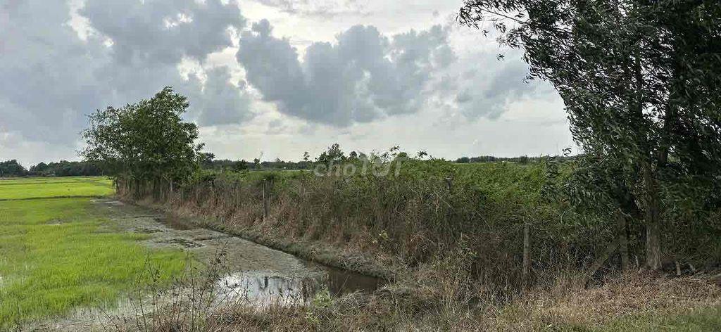 Bán  Đất Vườn Châu Thành Tây Ninh