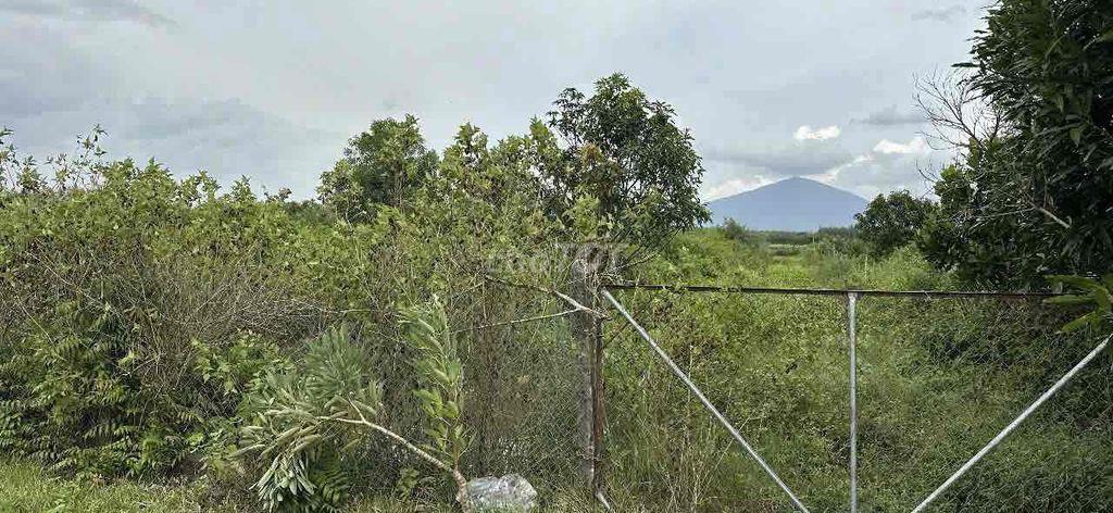 Bán  Đất Vườn Châu Thành Tây Ninh