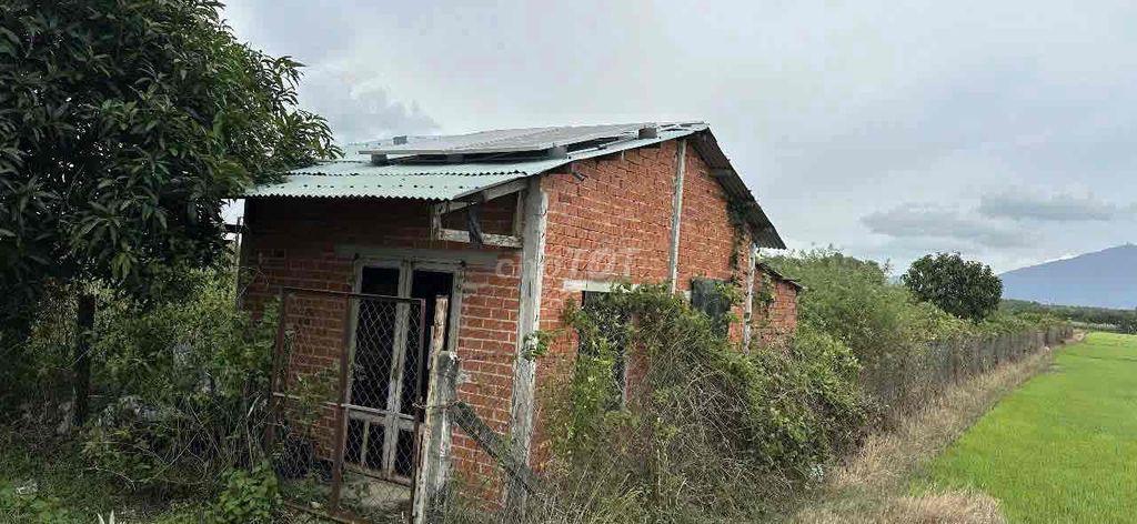 Bán  Đất Vườn Châu Thành Tây Ninh