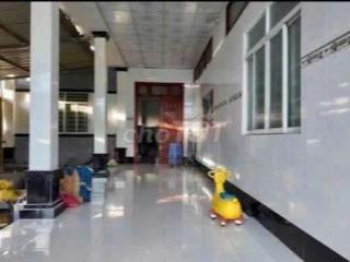 bán vườn sầu riêng giá tốt