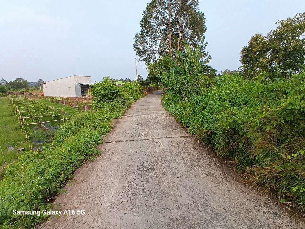 bán đất rẫy