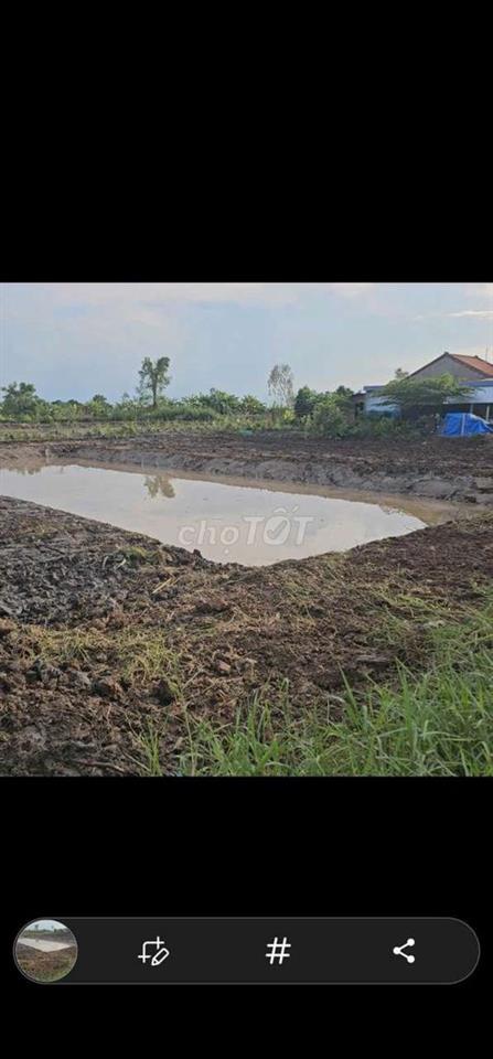 đất vườn có thổ cư