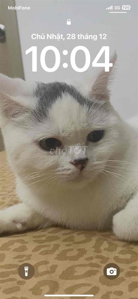 cho thuê mặt bằng kinh doanh