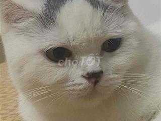 cho thuê mặt bằng kinh doanh