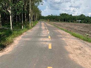 Bán Đất Chính Chủ