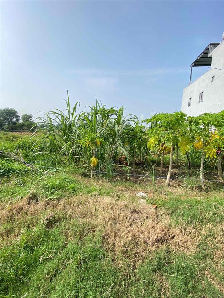 đất chính chủ cần bán